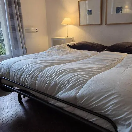 Apartamento A Giens Avec Terrasse, Piscine Et Parking - Fr-1-335-193